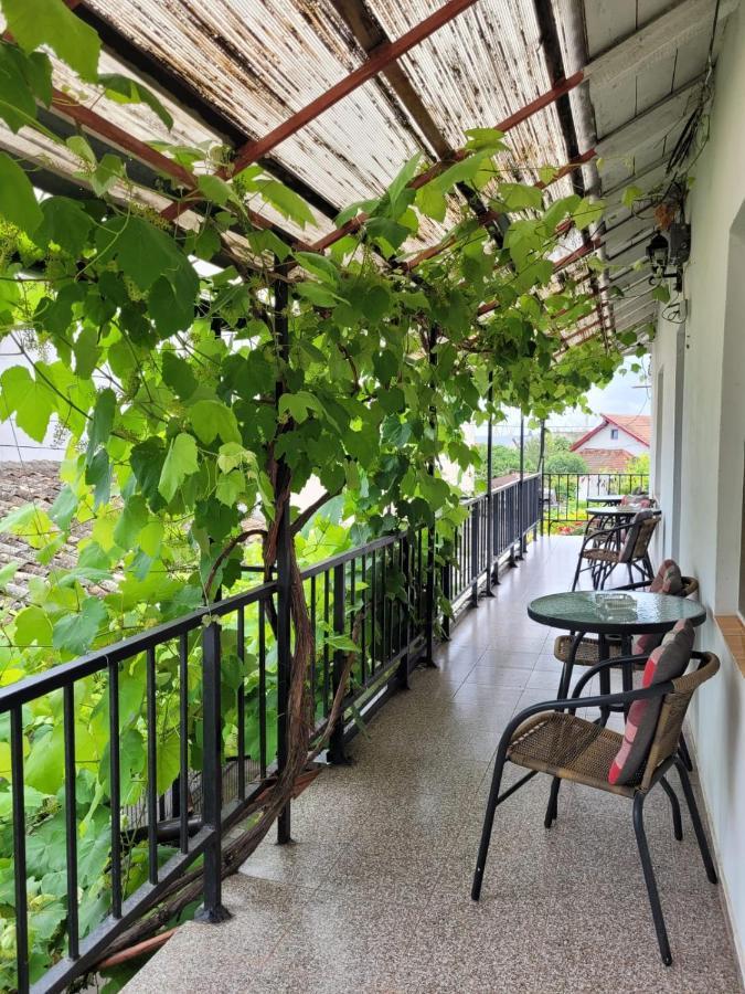 Vila Didi, Mangalia Esterno foto
