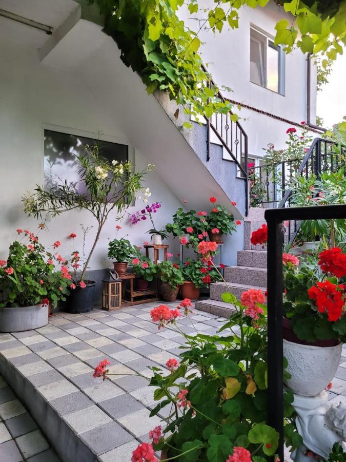 Vila Didi, Mangalia Esterno foto